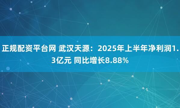 正规配资平台网 武汉天源：2025年上半年净利润1.3亿元 同比增长8.88%