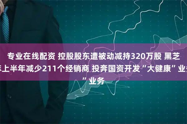 专业在线配资 控股股东遭被动减持320万股 黑芝麻上半年减少211个经销商 投奔国资开发“大健康”业务