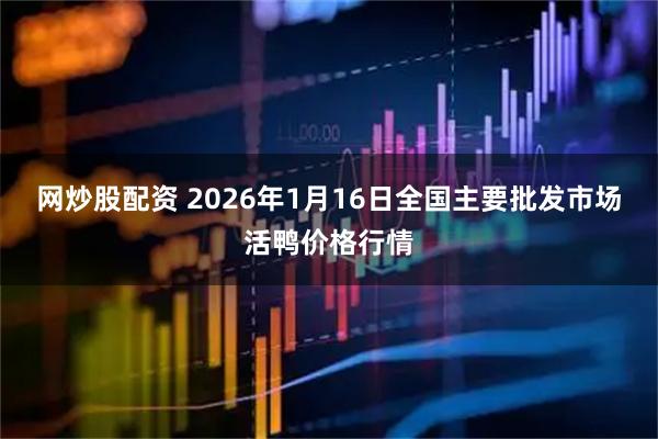 网炒股配资 2026年1月16日全国主要批发市场活鸭价格行情