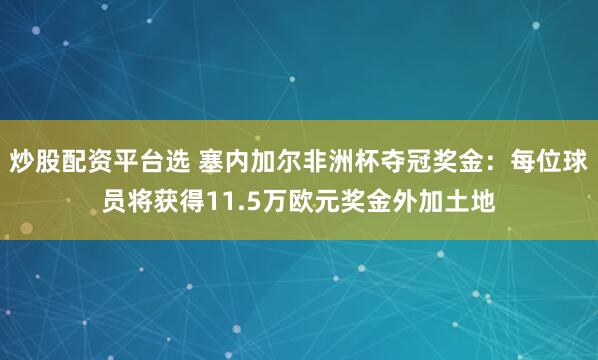 炒股配资平台选 塞内加尔非洲杯夺冠奖金：每位球员将获得11.5万欧元奖金外加土地
